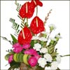 Queen of Heart - Click here to View more details about this Product
